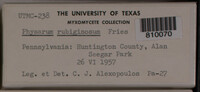 Image Associated With the Occurence